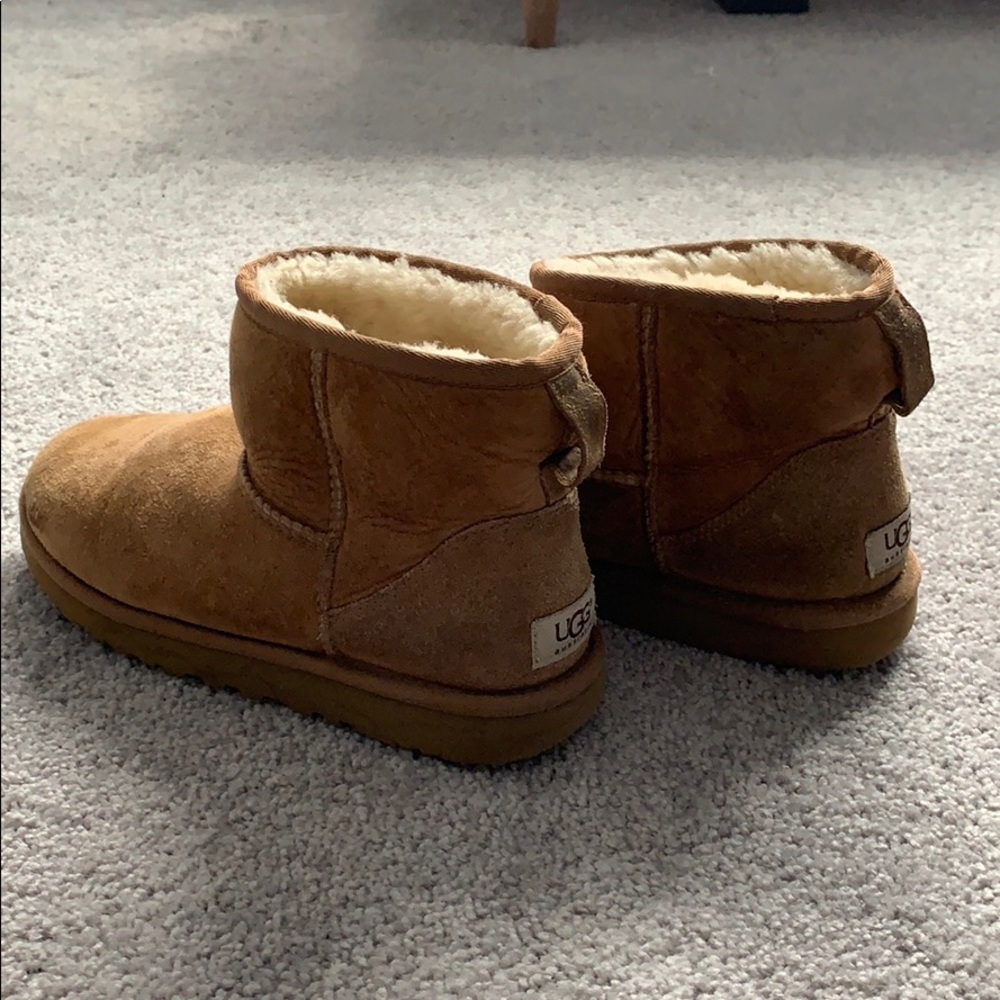 Chestnut ugg boot mini